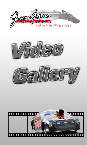 Video Gallery